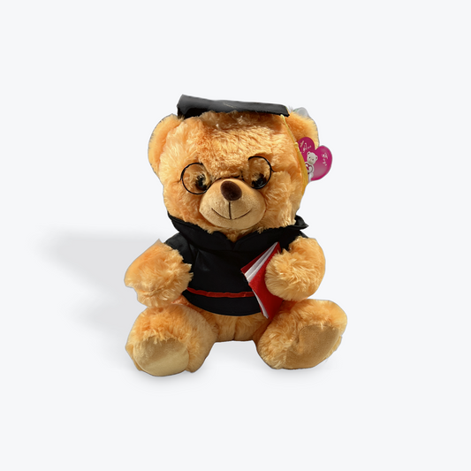 Graduation teddy bear 🧸