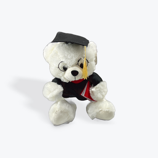 Graduation teddy bear